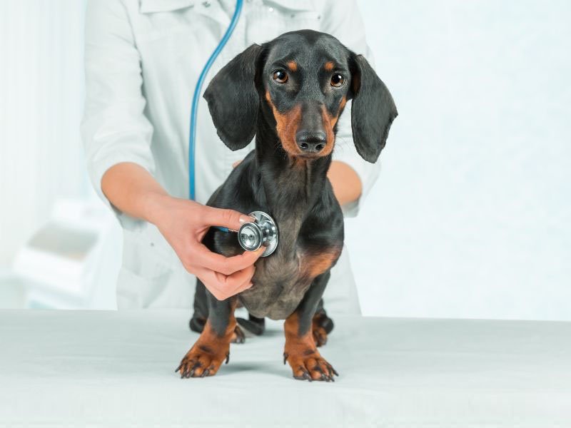 Design sem nome - 11